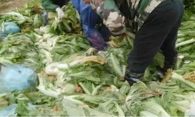 从”老坛酸菜“事件引发的反思：净水器的甄别也需谨慎再三！