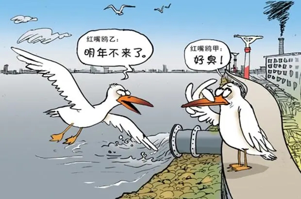 水污染从不缺少“花样”，有净水器的家庭能否安全避祸？