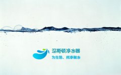 汉斯顿净水器私人定制：成全别人，恶心自己
