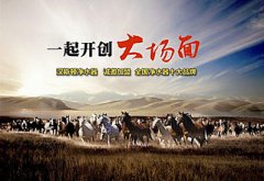 汉斯顿深受市场青睐的秘诀