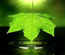 新购买的家用净水器使用应该注意什么？