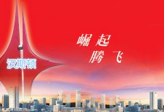 品牌建设是净水业发展方向：汉斯顿扫清绊脚石