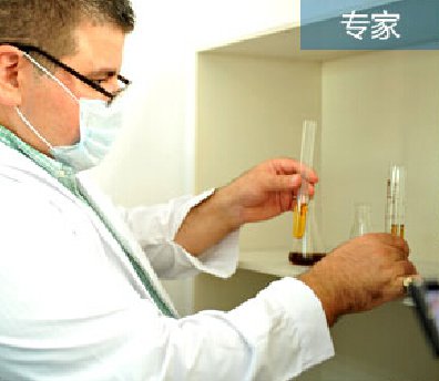 解读汉斯顿的自主研发情结
