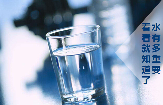 水有多重要，你该看看了
