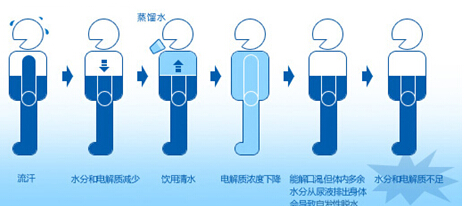 水与人体健康小知识 你的身体缺水吗？