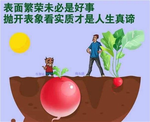 不看外表看本质.jpg